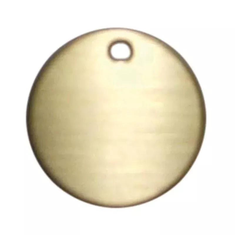 1 Round Brass Bridle Plate